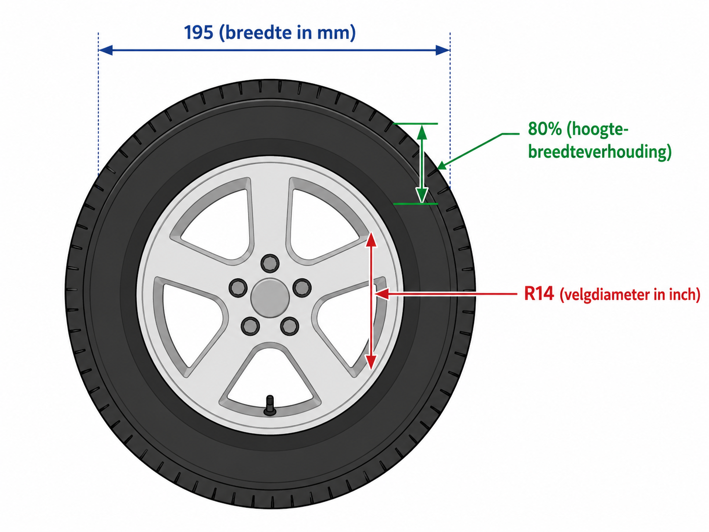 Uitleg bandenmaat caravanband: breedte, hoogte-breedteverhouding en velgdiameter