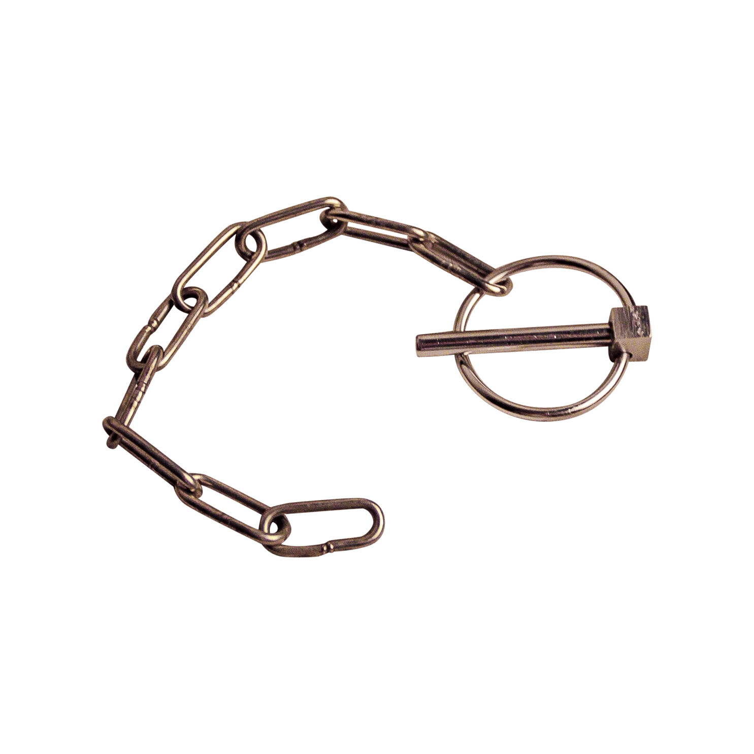 1f44c39bf7991bdc0c4b1004e59bc80a Borgpen met ronde clip RVS Ø6mm | Van Welpen Onderdelen