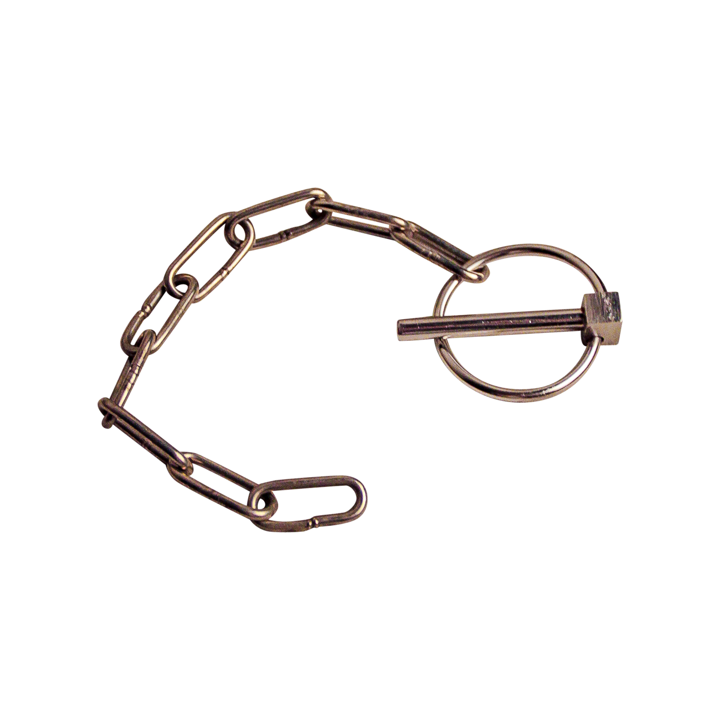 1f44c39bf7991bdc0c4b1004e59bc80a Borgpen met ronde clip RVS Ø6mm | Van Welpen Onderdelen
